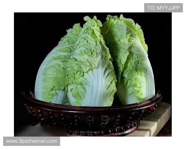 白菜网大全0008：全面解析白菜网的使用技巧与推荐